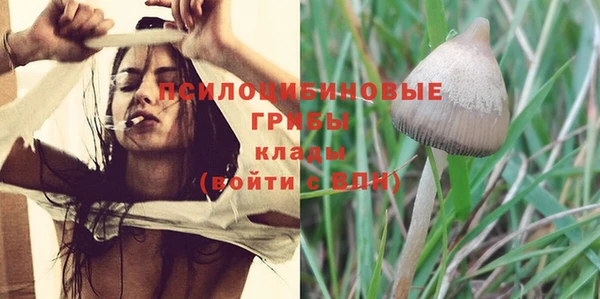 Альфа ПВП Арсеньев