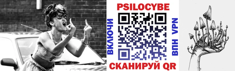 Псилоцибиновые грибы Psilocybe  Ртищево 